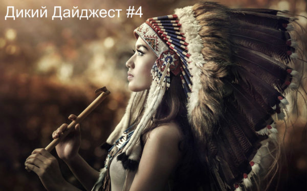 Дикий Дайджест #4