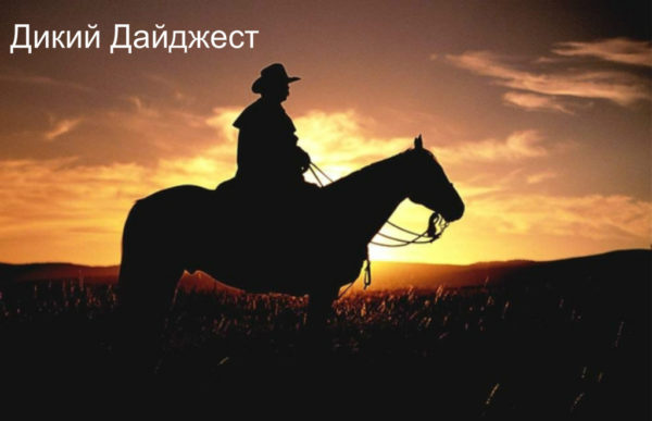 Дикий Дайджест