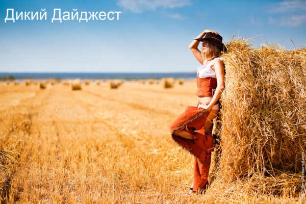 Дикий Дайджест