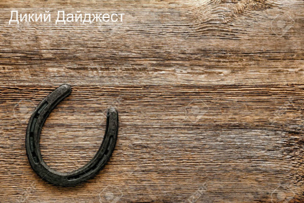 Дикий Дайджест